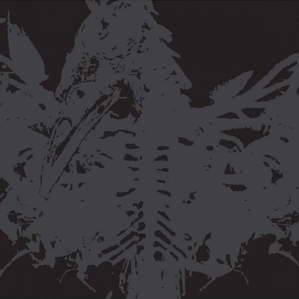 AMENRA